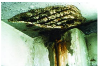 Corrosion of reinforcing steel