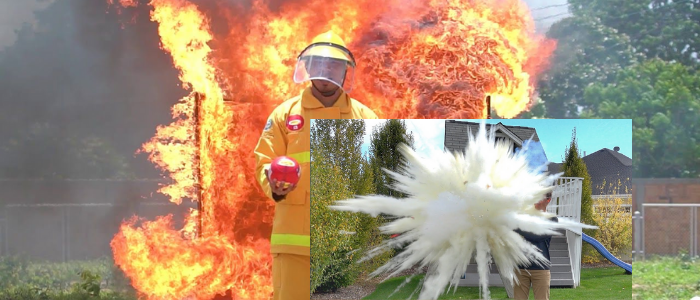 Fire Extinguisher Ball