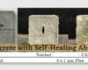 Self-Healing concrete