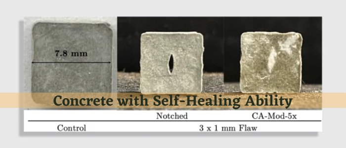 Self-Healing concrete