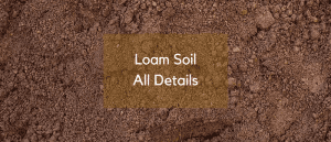 Loam Soil