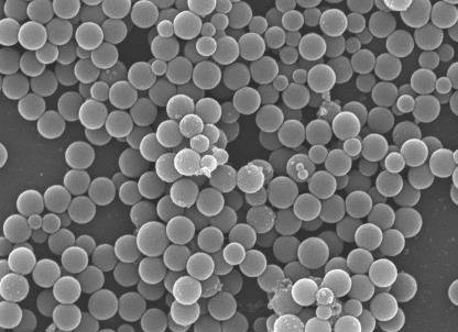 Nanosilica under the microscope