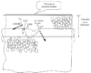 Cathodic Protection of Steel in Concrete by Surface Painting