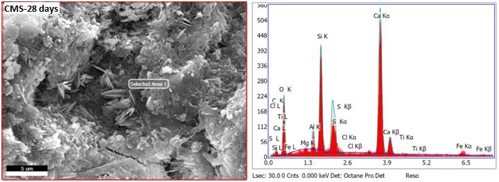 Example SEM with EDX