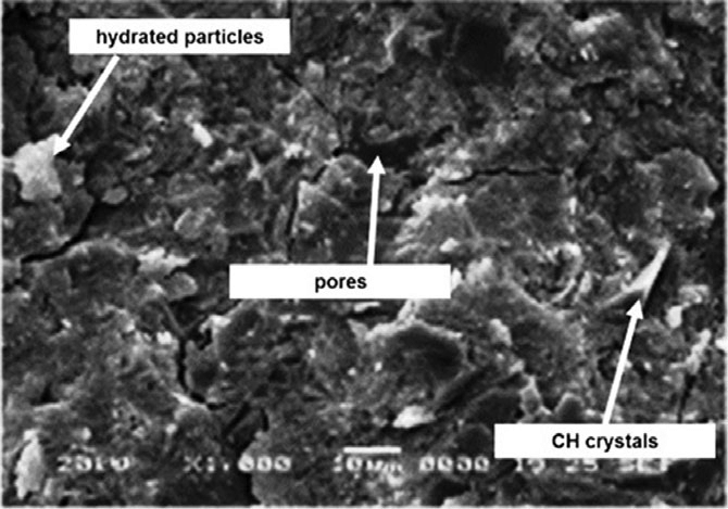 SEM for Concrete Durability